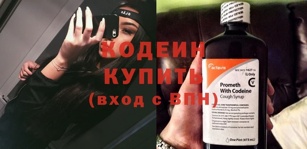 прущая мука Вяземский