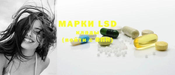 прущая мука Вяземский