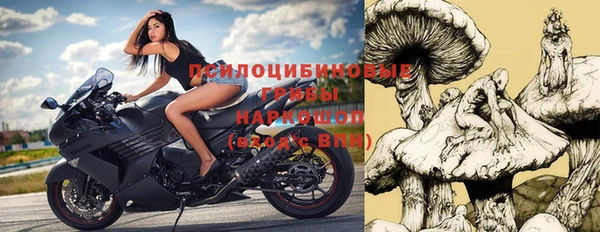 прущая мука Вяземский