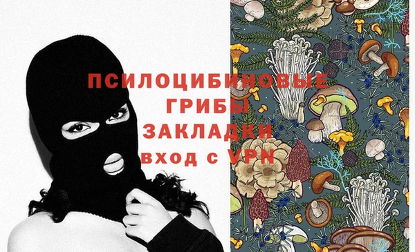 стаф Рославль