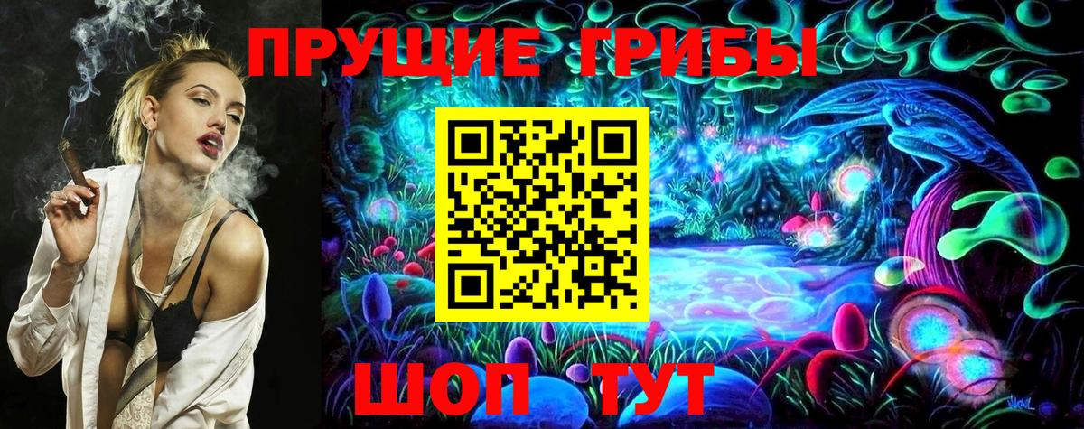 Псилоцибиновые грибы GOLDEN TEACHER  Псилоцибиновые грибы Psilocybine cubensis  продажа наркотиков  Ростов-на-Дону  Вход с VPN 
